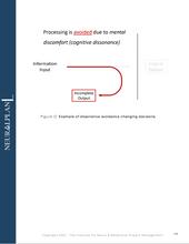 Load image into Gallery viewer, 1-on-1 Coaching + NPPQ Credential